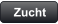 Zucht