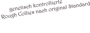 genetisch kontrollierte  Rough Collies nach original Standard