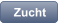 Zucht