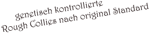 genetisch kontrollierte  Rough Collies nach original Standard