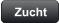 Zucht