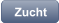 Zucht