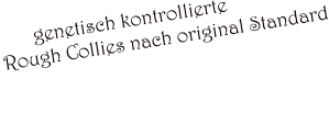 genetisch kontrollierte  Rough Collies nach original Standard